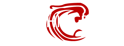 A painstakingly faithful recreation of the original Dolphincrash logo.